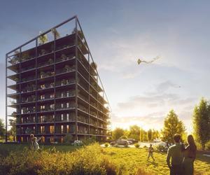 Apartametowiec Żorro projektu Franta Group