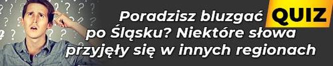 SG Baner Quiz Poradzisz bluzgać po Śląsku? Niektóre słowa przyjęły się w innych regionach