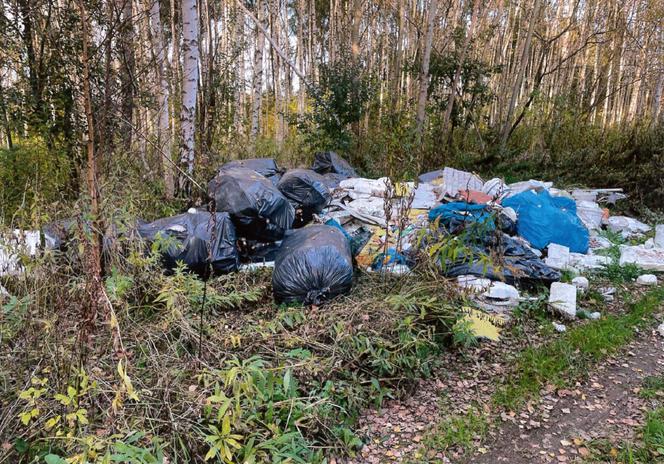 Góra śmieci na prywatnej posesji w Tarnowie. Właściciel był w szoku