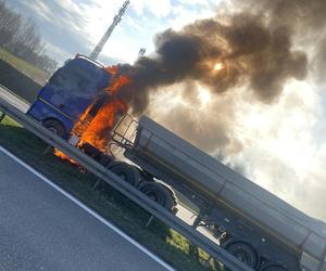 Pożar ciężarówki na DK 91 w Siewierzu