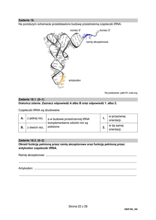 Matura 2024: biologia. Arkusze CKE i odpowiedzi. Poziom rozszerzony [Formuła 2015]