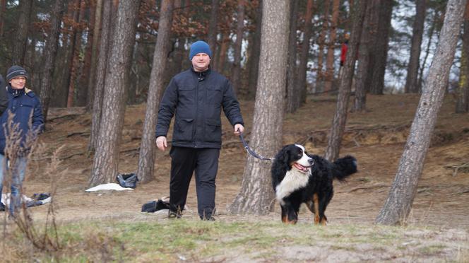 Zimna kąpiel morsów w podbydgoskich Pieckach [ZDJĘCIA]