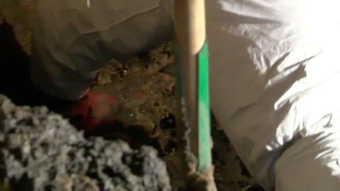 ZWŁOKI ZAKOPANE W PIWNICY