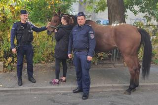 Policjanci zatrzymali KLACZ na ulicach Lublina