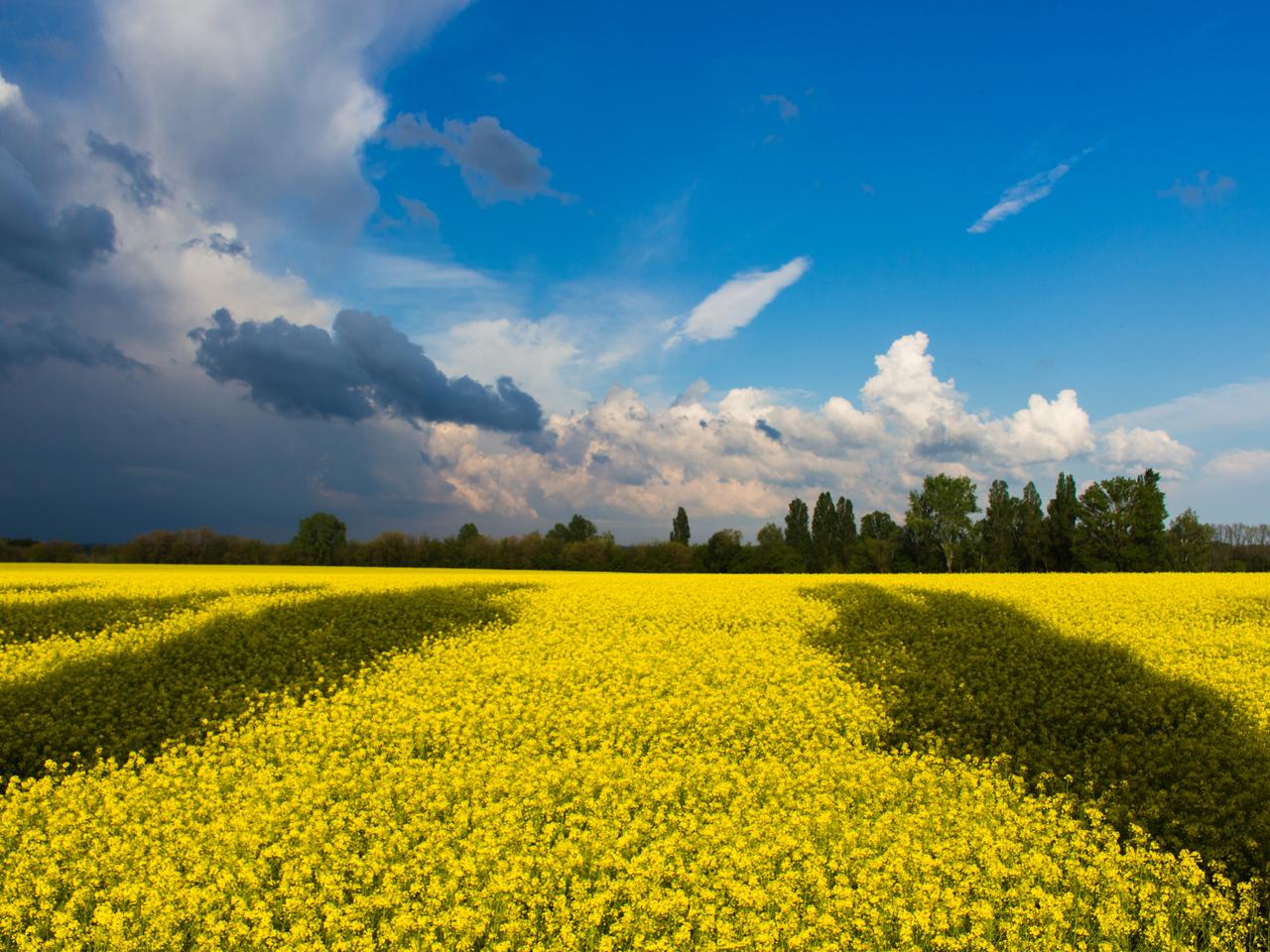 Każdy może pomóc Ukrainie [LISTA DARÓW]