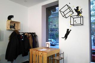 Katowice: Pierwsza na Śląsku Kocia Kawiarnia działa już trzy tygodnie! [ZDJĘCIA]