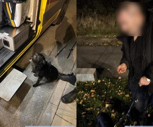 Pies uratował właściciela. Niezwykły finał poszukiwań zaginionego