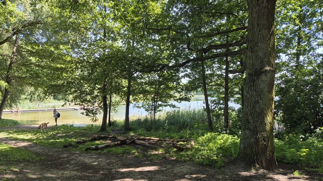 To jedno z największych jezior w Olsztynie. Kusi turystów piaszczystymi plażami