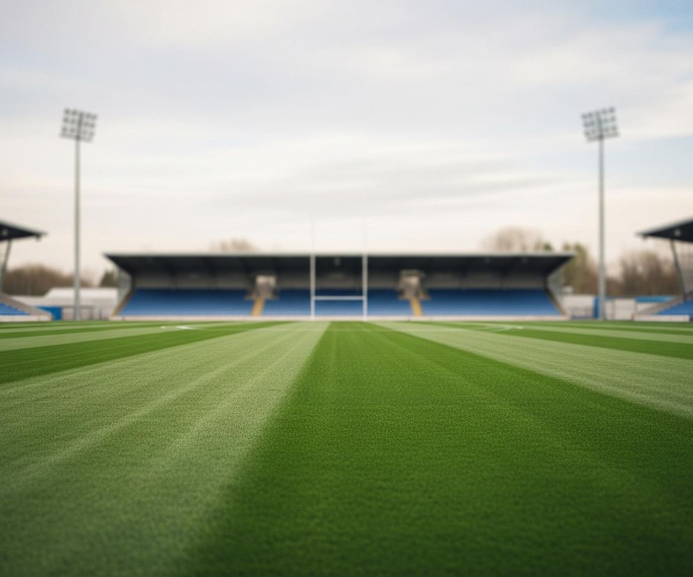 Zielone boisko z wyraźnymi, naprzemiennymi pasami jaśniejszej i ciemniejszej trawy wypełnia dolną część kadru, rozciągając się w głąb obrazu. Na horyzoncie widoczne są trybuny stadionu, z siedzeniami w kolorach niebieskim i czerwonym, otaczające boisko. W centrum i po bokach boiska stoją białe słupy bramkowe w kształcie litery H, a nad trybunami wznoszą się maszty oświetleniowe z reflektorami. Całość znajduje się pod jasnym, zachmurzonym niebem.