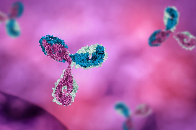 Immunoglobulina typu D (IgD)