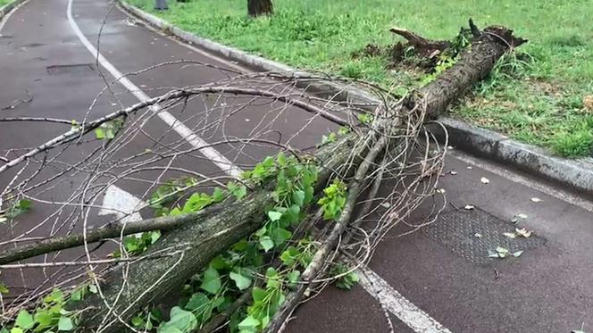 Włochy. Śmiertelna ofiara burz na północy, kilku rannych