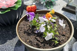 Faustynka zginęła tuż po komunii. Nieoczekiwany zwrot w śledztwie [GALERIA]