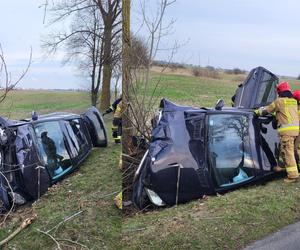 Auto wypadło z drogi i zatrzymało się na drzewie! O krok od tragedii pod Mogilnem [ZDJĘCIA]