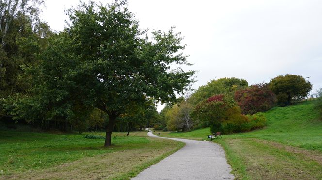 Park Rury w Lublinie w jesiennej odsłonie! Zobacz koniecznie jak teraz wygląda. Zdjęcia z ziemi i nieba