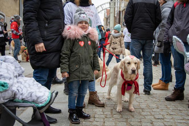 WOŚP 2020. Była wielka ściskawa i światełko do nieba