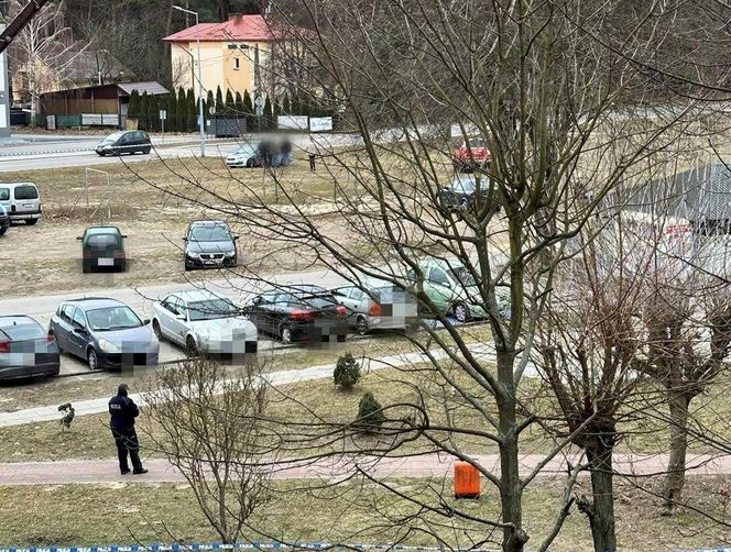 Podkarpacie. Ciało z workiem na głowie. Makabryczne odkrycie w samochodzie