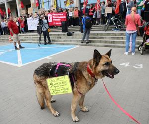 Protest przeciwko programowi Mieszkanie na Start w Warszawie