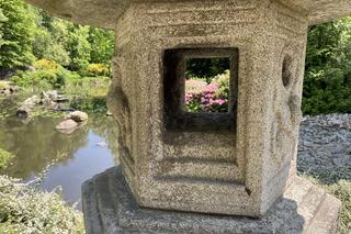 Ogród Japoński we Wrocławiu