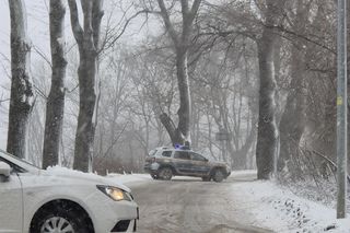 Atak zimy na Dolnym Śląsku. Zablokowane drogi, połamane i powalone drzewa 