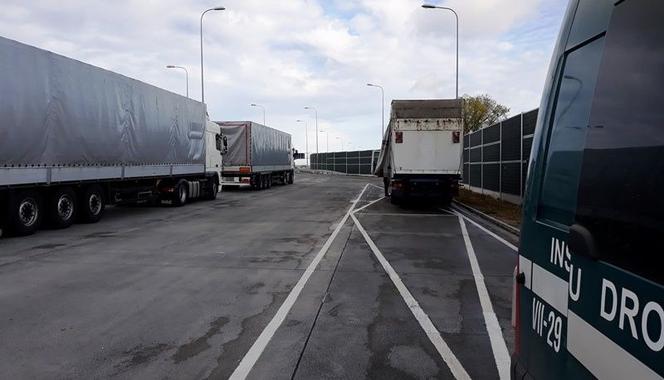 Podczas jednodniowej akcji ITD sprawdziło 242 zagraniczne ciężarówki. Wynik wzmożonych kontroli był zdumiewający