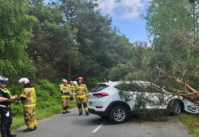 Drzewo spadło na auto na Helu