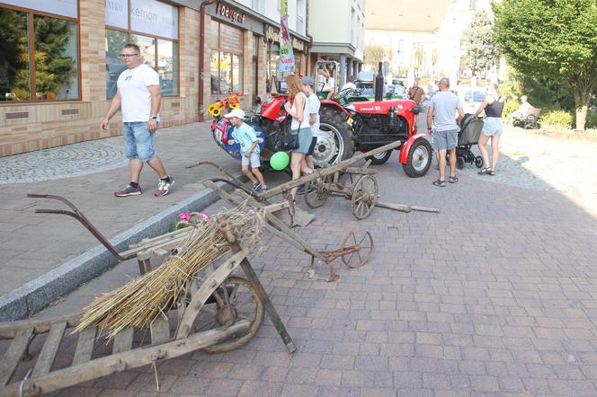 Dożynki miejskie w Tychach