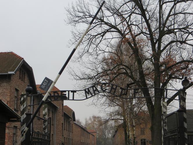 Holenderka „hajlowała” przed bramą Auschwitz-Birkenau