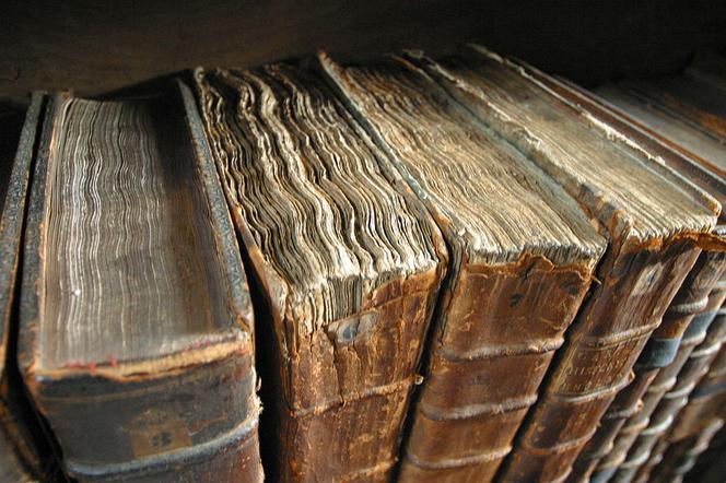 Wśród zniszczonych książek są cenne starodruki