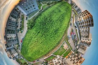 Każdy będzie mógł wziąć trochę konopi. W piątek wejdziecie na słynne lubelskie pole