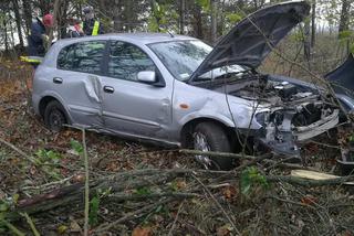 Knyszyn: Poranny wypadek na DK 65. Samochód wypadł z drogi [ZDJĘCIA]