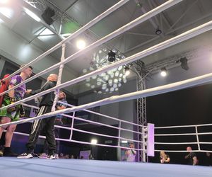 Walczyli dla Krystiana. Charytatywna gala boksu Hero Boxing Fighters 3 „Jungle”