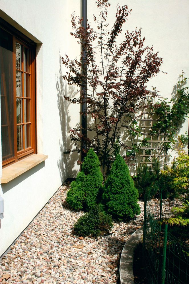 Żwirowe nawierzchnie