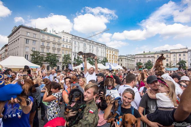 Kraków: Marsz Jaminików 2018. Zobaczcie najlepsze przebrania! [ZDJĘCIA]