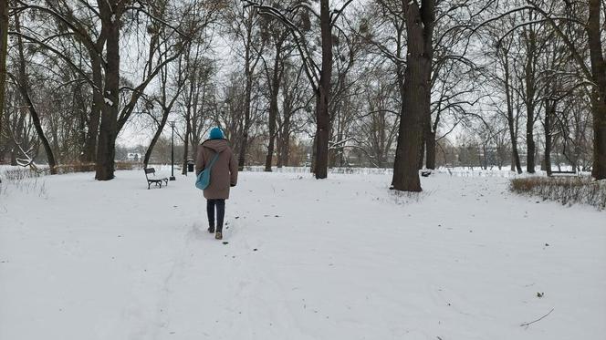 Zamojski Park pod śniegiem