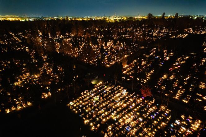1 listopada na Cmentarzu Łostowickim w Gdańsku. Tak wygląda w dniu Wszystkich Świętych