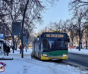 Kierowca autobusu w Tychach staranował słupki przy chodniku 