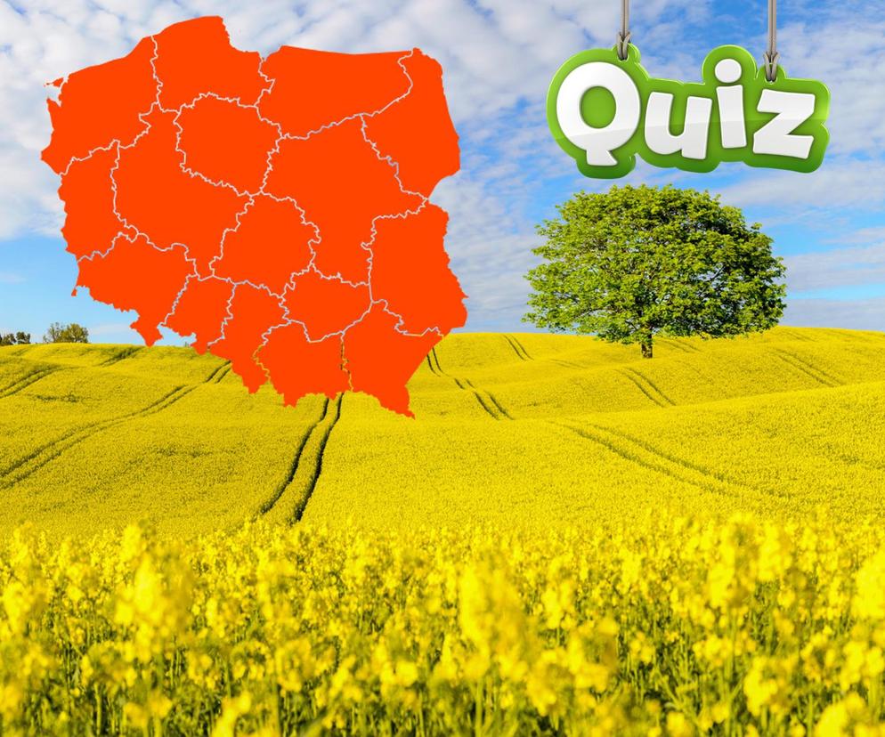 QUIZ. Czwartkowa geografia. Które województwo jest większe? Tylko dwie odpowiedzi do wyboru