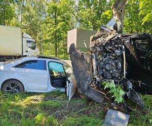 Potężne zderzenie na DK 27! Kierujący audi nie żyje, karetki zabrały dwie kobiety z drugiego auta [ZDJĘCIA]