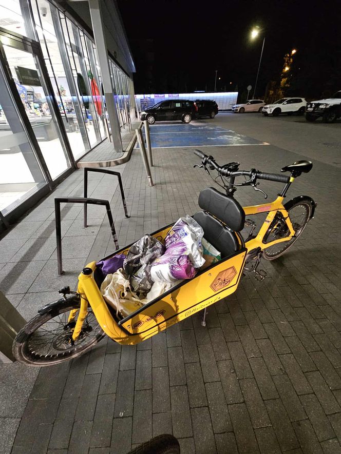Nasz test rowerów cargo