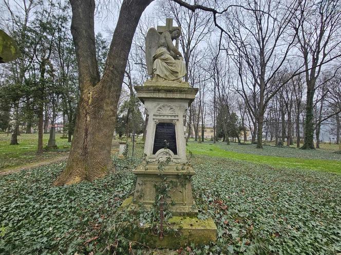 Stary cmentarz w Rzeszowie najstarsza zachowana nekropolia w mieście