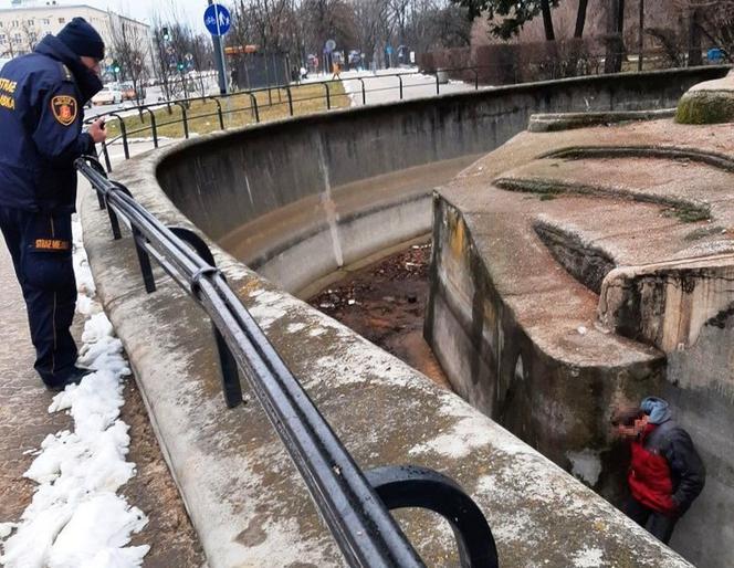 Mężczyzna wpadł do nieczynnego wybiegu dla niedźwiedzi