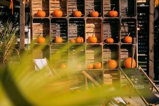 Wioska dyniowa w Brennej