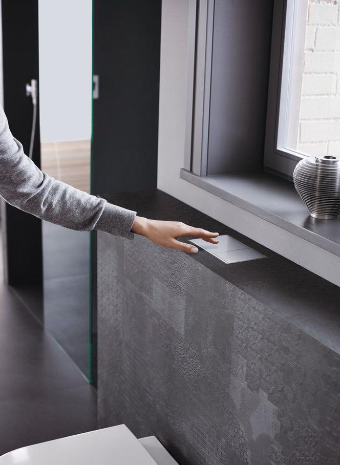 Spłuczki i przyciski spłukujące Geberit Omega