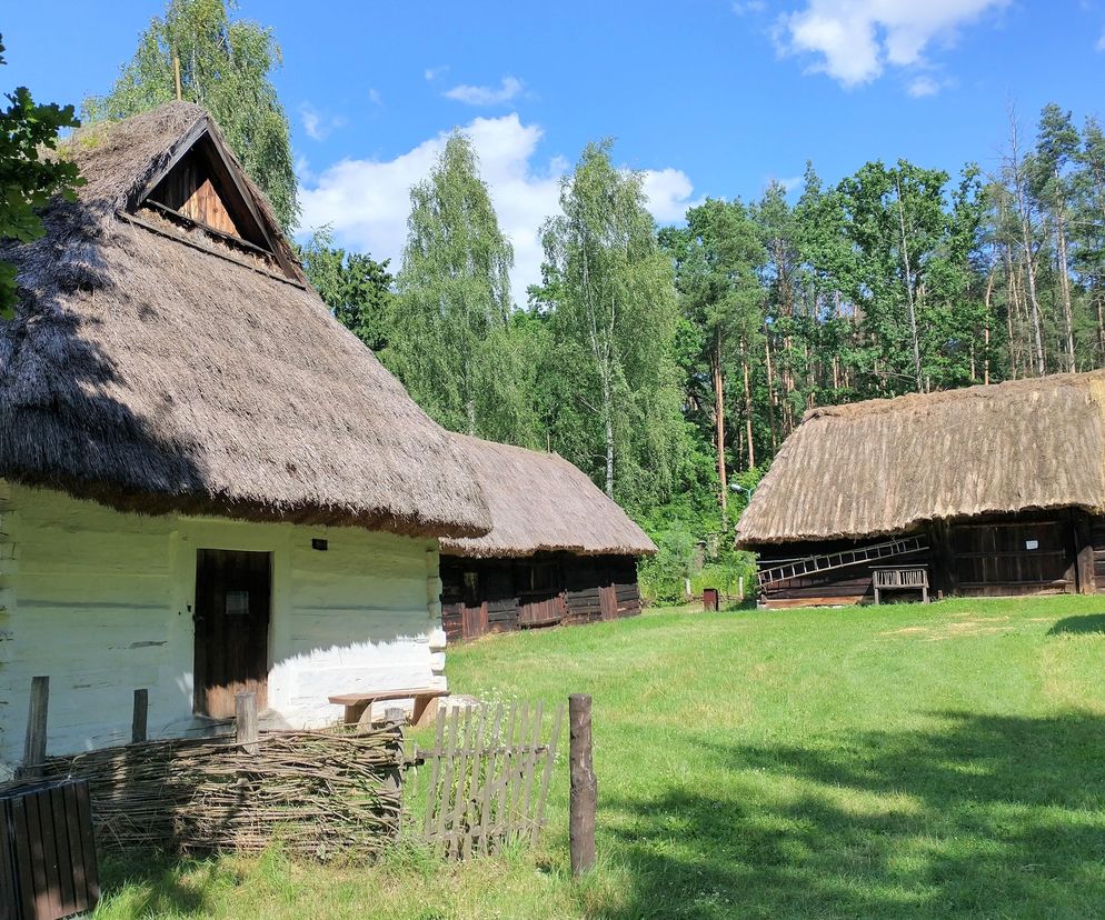 Prawie 140 milionów złotych trafi do regionu radomskiego z budżetu województwa mazowieckiego. Na co zostaną przeznaczone