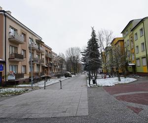 Białystok pod śniegiem. W mieście pojawiły się pierwsze świąteczne ozdoby