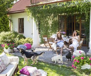 Agnieszka Różycka, Irena Urban: Pod opieką płaczącej wierzby