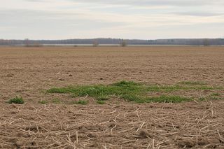 Działka pod CPK wraca do Skarbu Państwa. Dlaczego bez roszczeń?