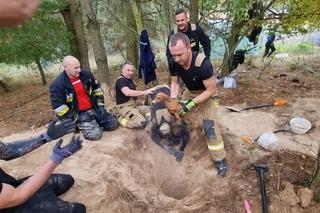 Dramatyczny finał za kotem. Jagódka utknęła głęboko pod ziemią