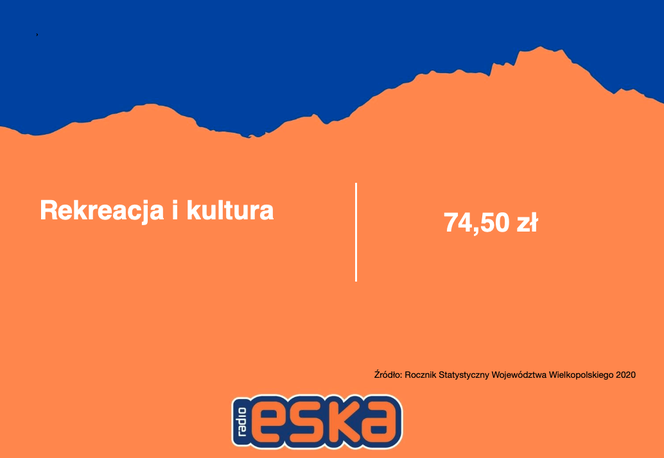 Wielkopolska: Na co wydajemy najwięcej pieniędzy?