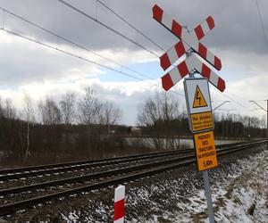 Piekło Arka wciąż trwa. W sądzie zeznawali kolejni świadkowie